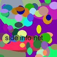 side info net